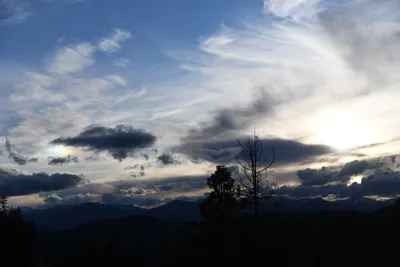 DSC_6806 (Large).JPG